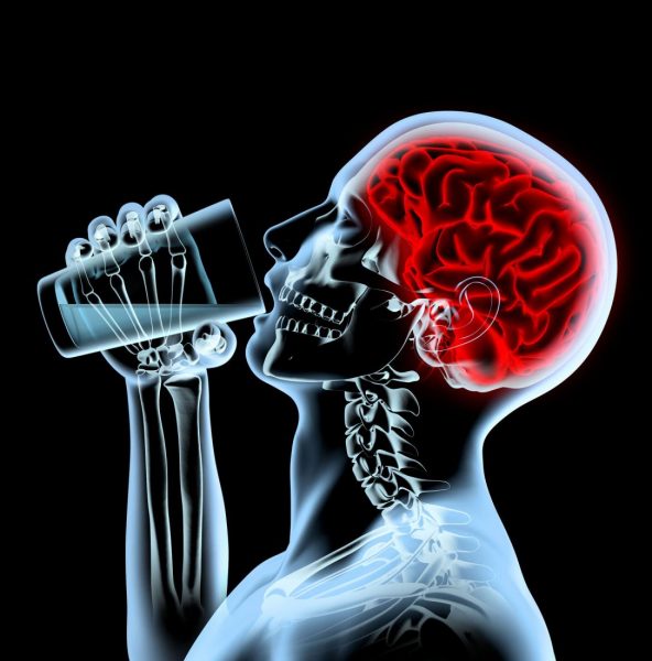 вплив алкоголю на головний мозок людини