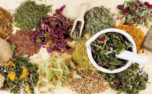 courses herbal medicine