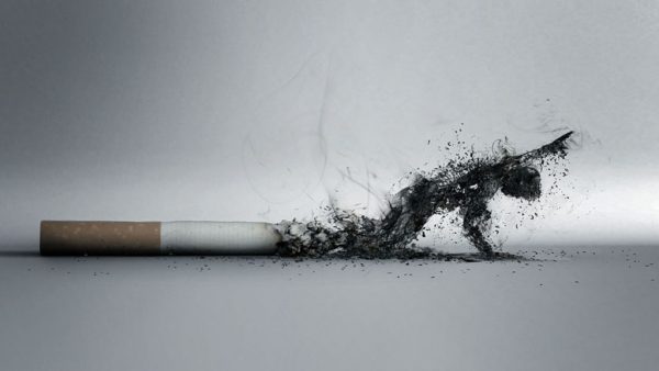 10 facts about the dangers of Smoking